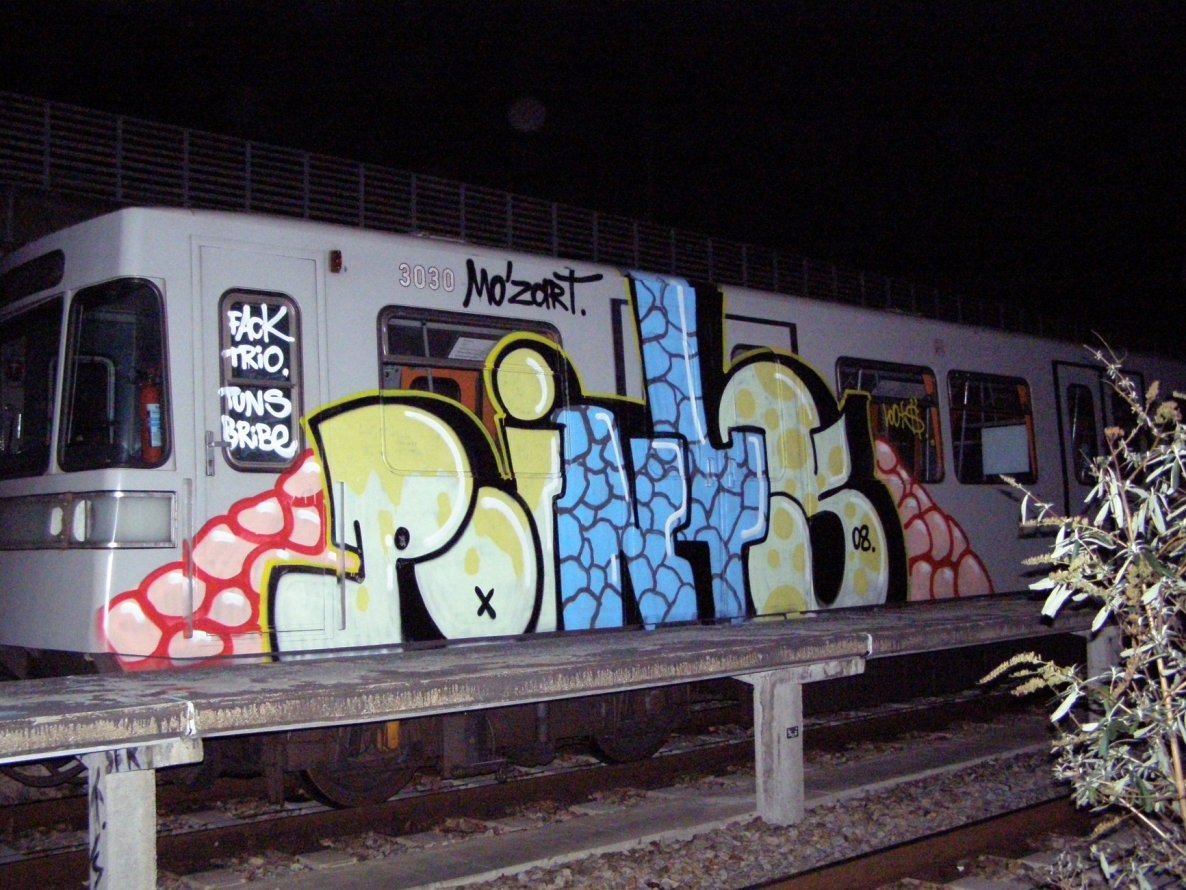Graffiti Train in Vienna - Photo by Oneleg - Points, HNG (2008)