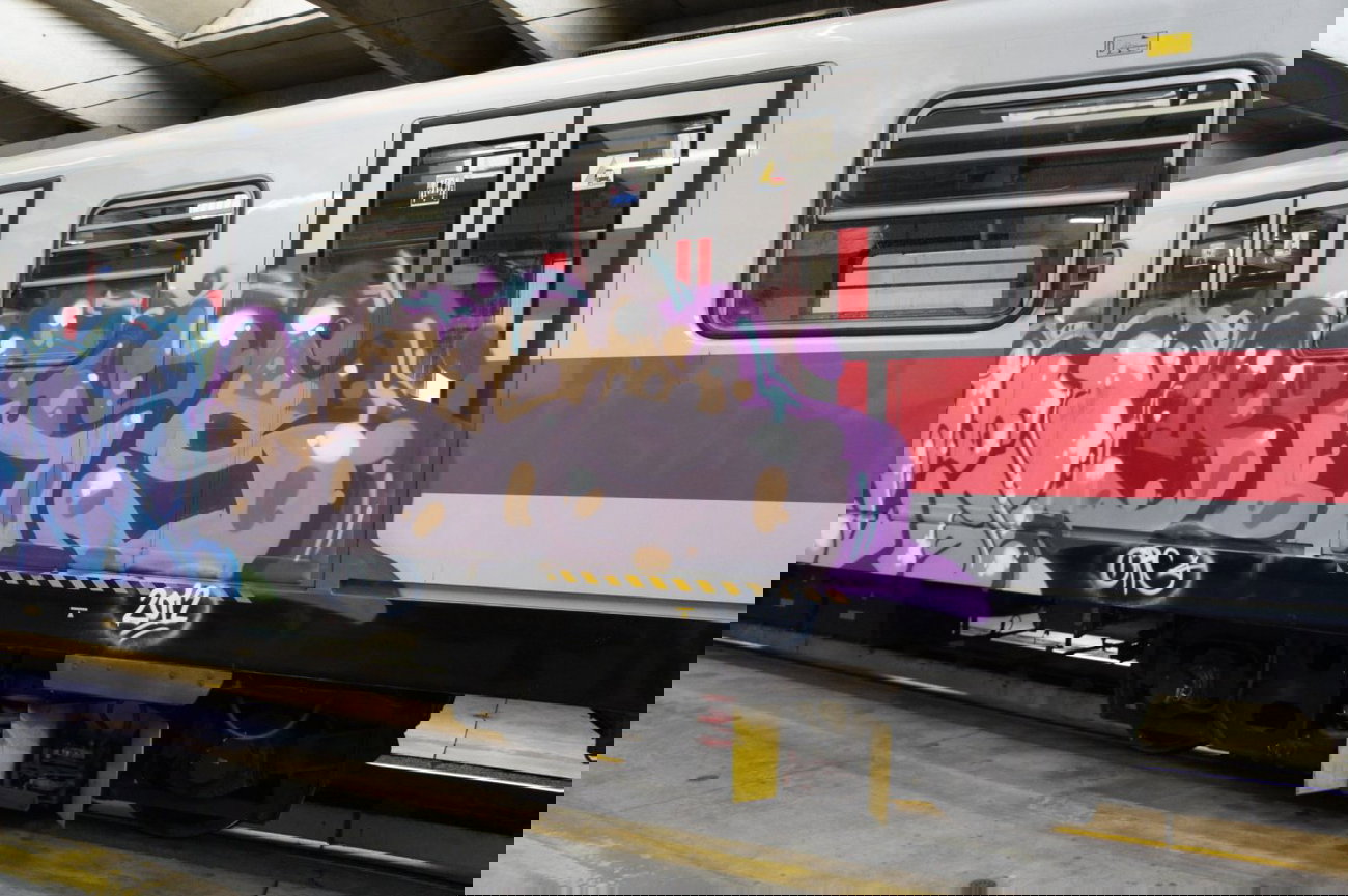 Graffiti Train - Photo by Oneleg - Yuros, ORC (2012)