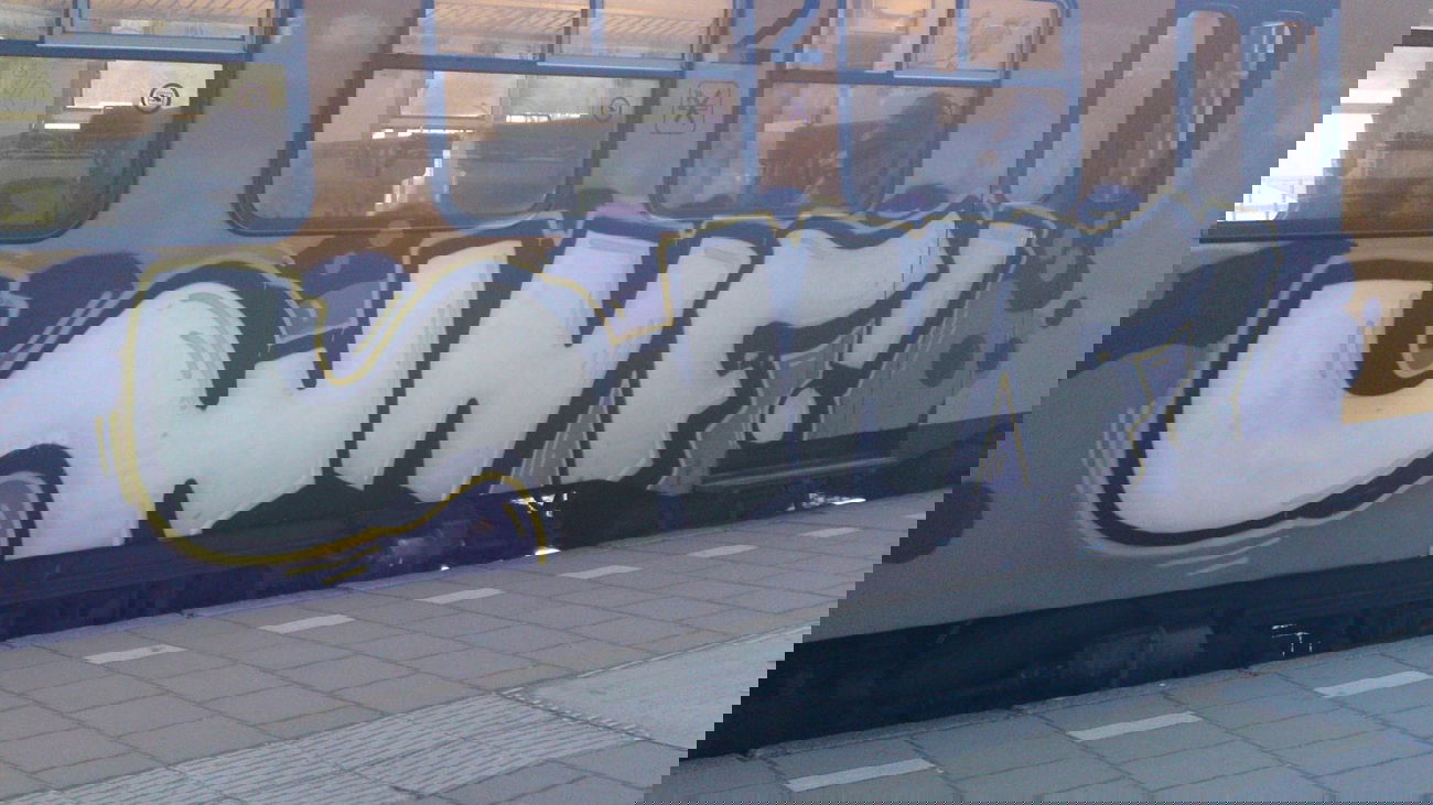 Graffiti Train in Amsterdam - Photo by Oneleg - WNF (2008)