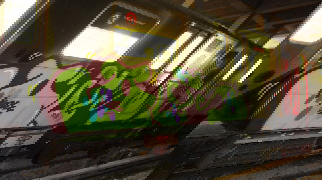 Graffiti Train in New York City - Photo by Oneleg - Outs (2013)