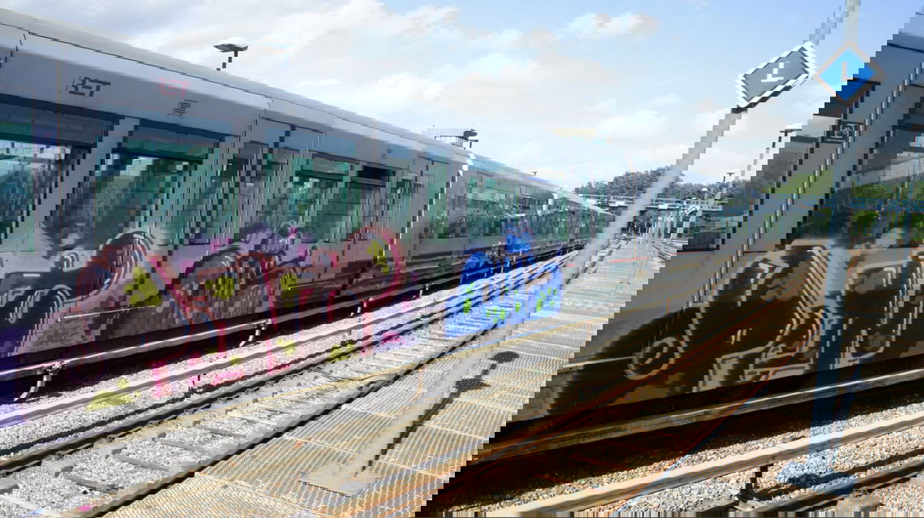 Graffiti Train in Rotterdam - Photo by Oneleg - Points, HNG, Outs (2012)