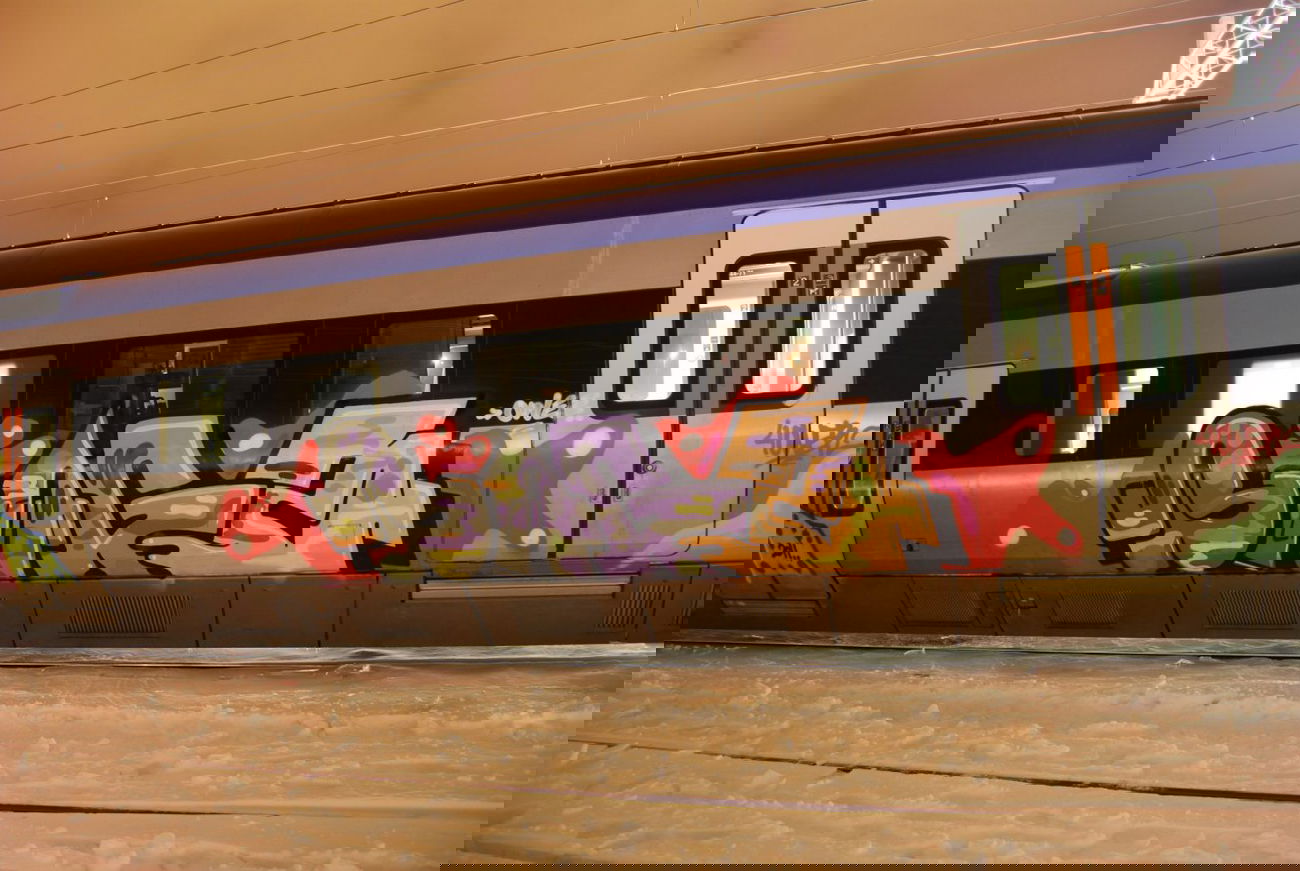 Graffiti Train in Gävle - Photo by Oneleg - Bags (2011)