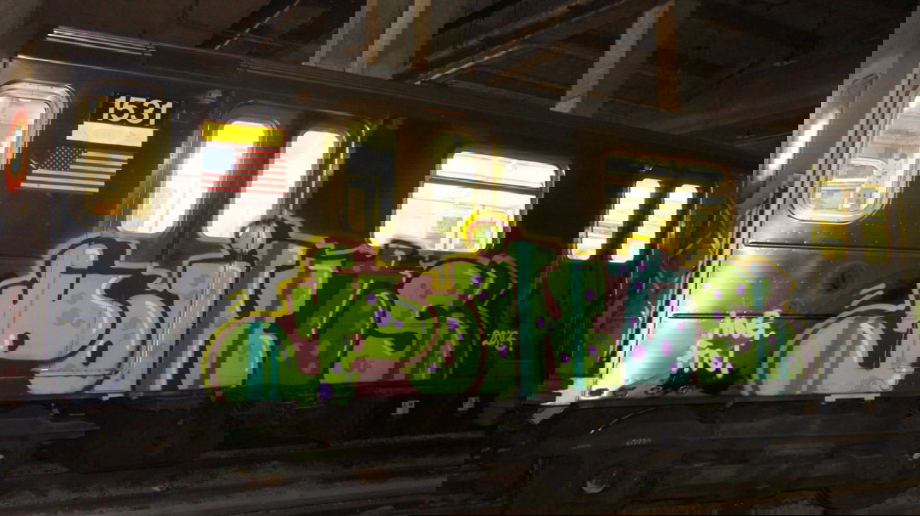 Graffiti Train in New York City - Photo by Oneleg - Points, HNG, FTN (2013)