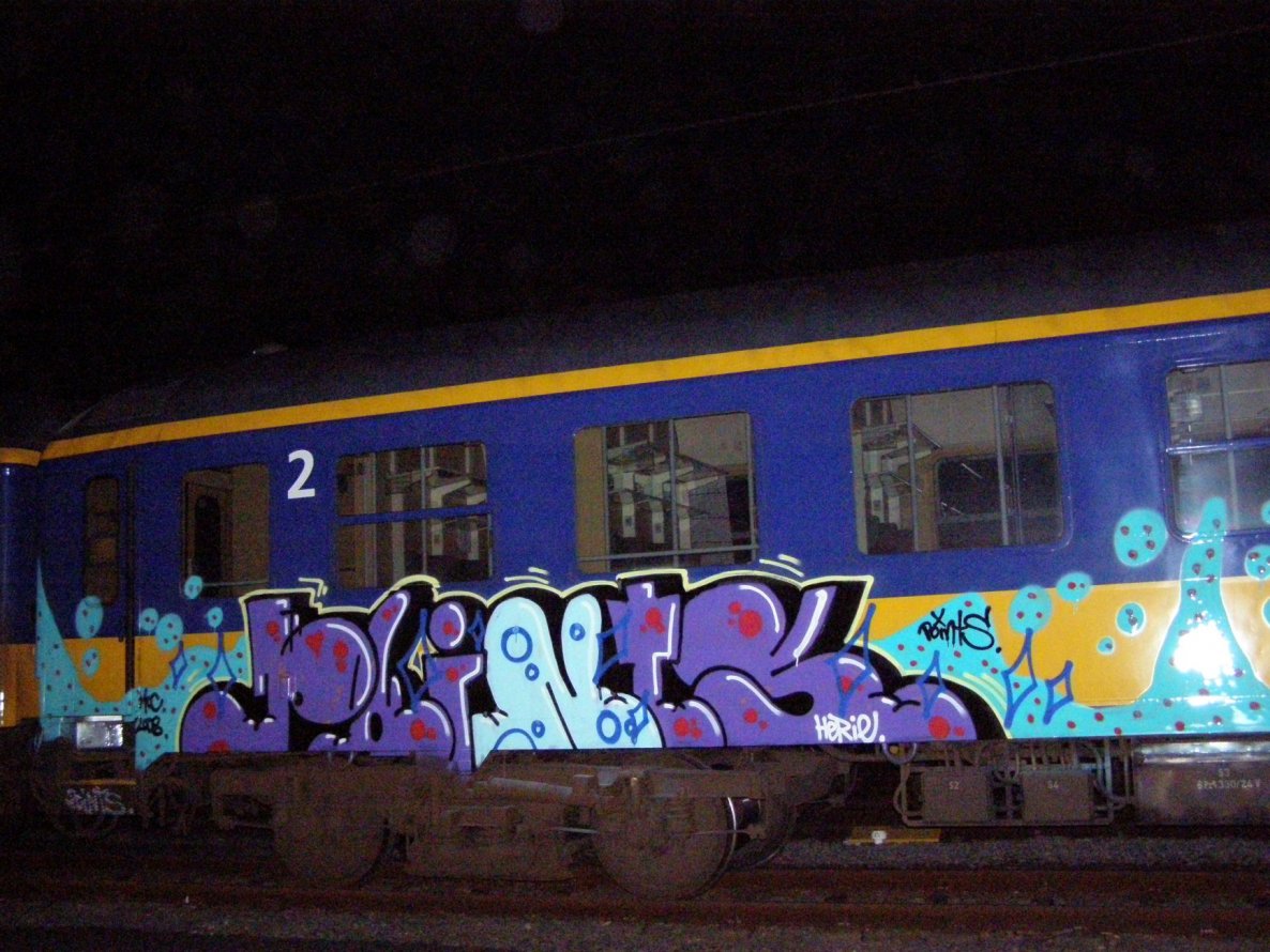 Graffiti Train in Amsterdam - Photo by Oneleg - Points, HNG (2008)