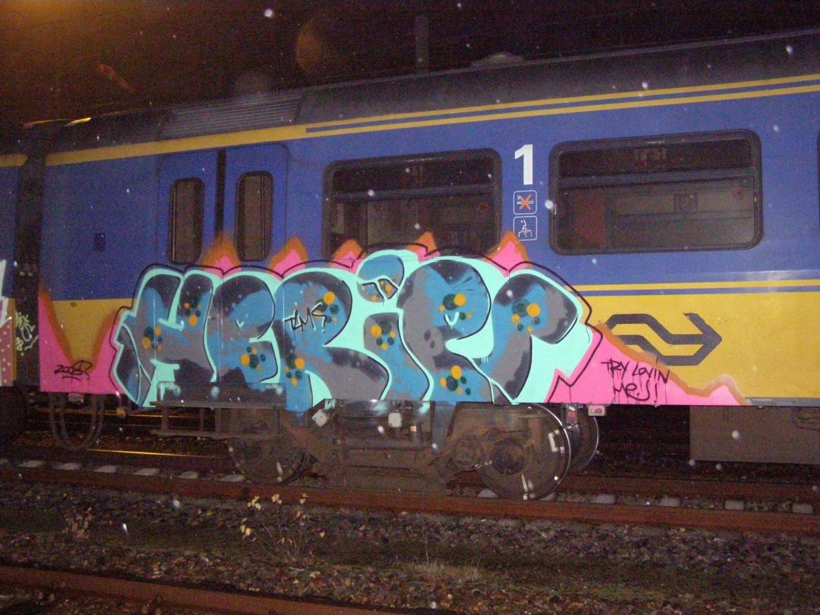 Graffiti Train in Amsterdam - Photo by Oneleg - Herie, TLM (2008)
