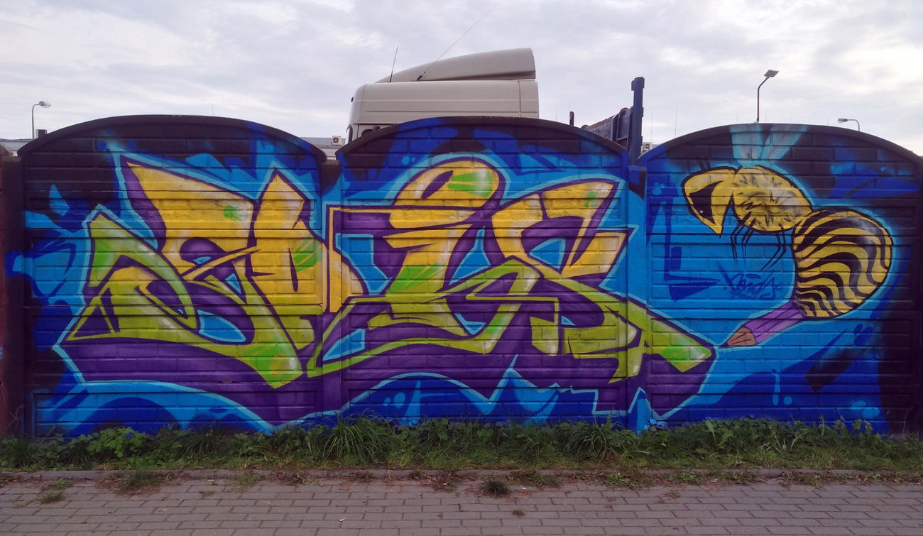 Graffiti Wall in Toruń - Photo by Opis - Nerds, Nerdscrew, Opis (2017)