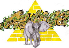 Photo #198924 by TagHagel