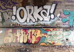 Photo #142695 by TagHagel