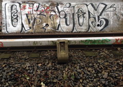 Photo #142692 by TagHagel