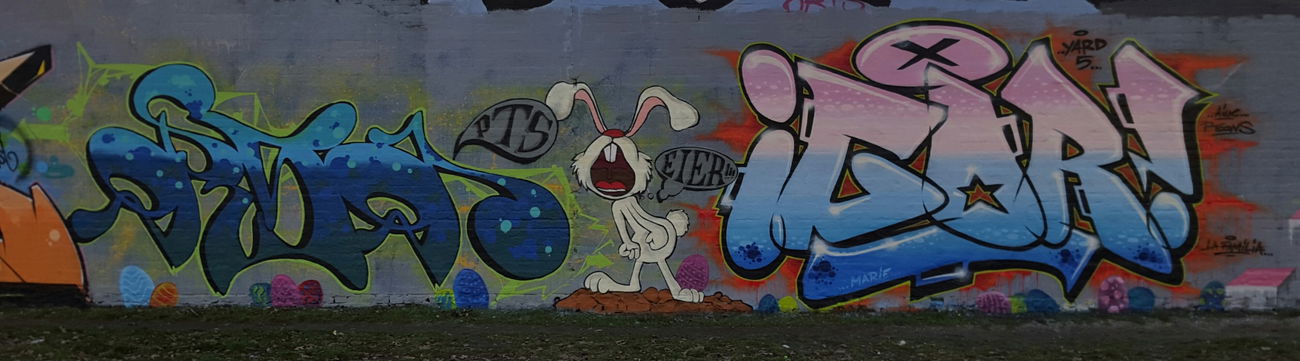 Graffiti Wall - Photo by Orson (2016)