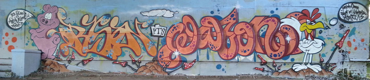 Graffiti Wall - Photo by Orson (2015)