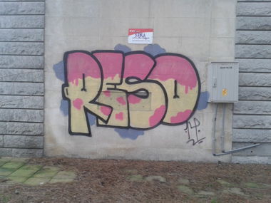 Graffiti Bombing - Photo by Oser