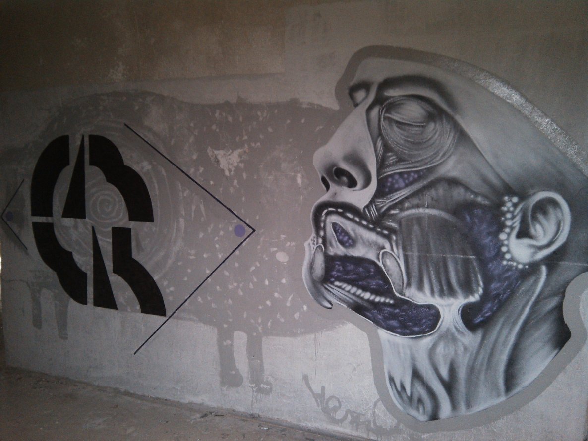 Graffiti Wall in Perm - Photo by Osnova - Crek, Osnova (2013)