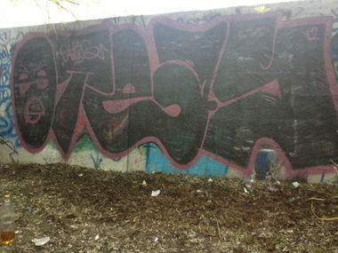 Graffiti Bombing - Photo by Oteasolb