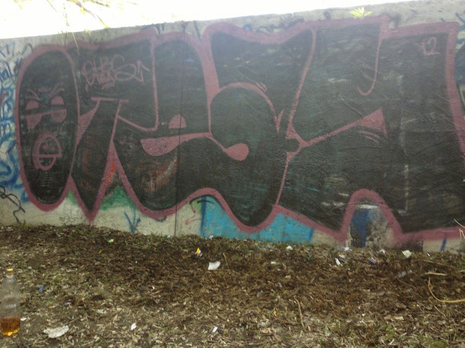 Graffiti Bombing - Photo by Oteasolb