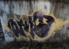 Photo #34267 by TBWSLAEDO