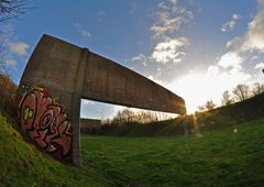 Photo #64991 by DOHE