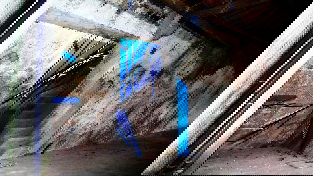 Graffiti Wall in Vila Nova de Gaia - Photo by Otox - portugal, abstract, dynamism (2013)