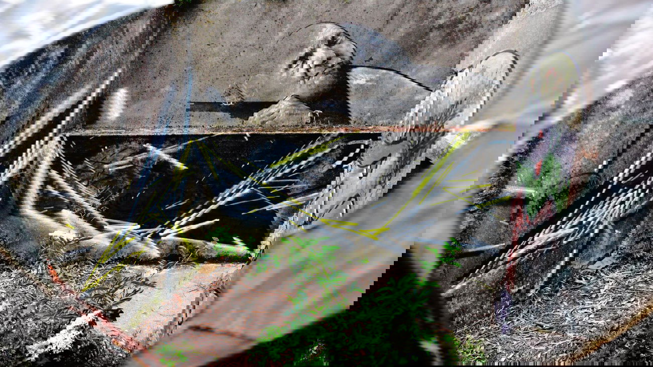 Graffiti Wall in Porto - Photo by Otox - abstract, dynamism, dynamic (2013)