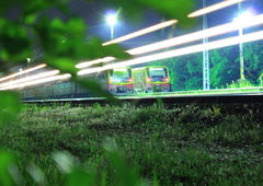 Photo #2423 by Torzstenstahl