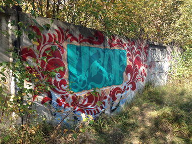 Graffiti in Российская Федерация - Photo by OutofLine - Узор (2015)