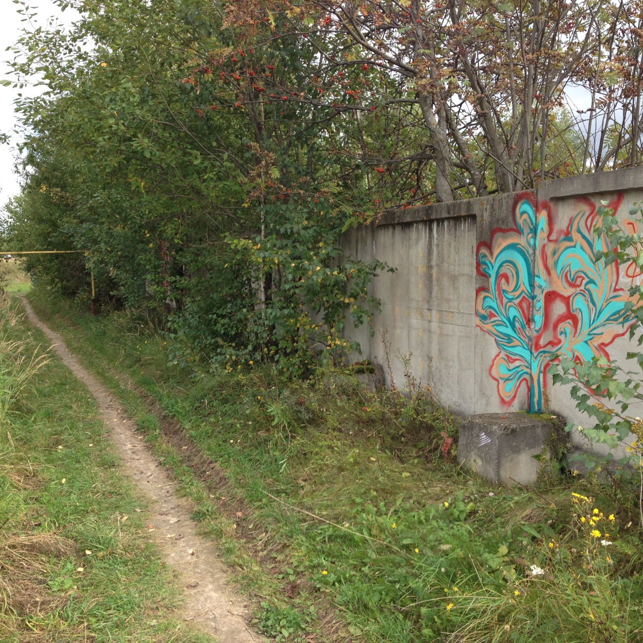 Graffiti Street Art - Photo by OutofLine - Узор