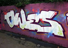 Photo #38868 by FEASTSFK