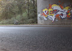 Photo #150319 by Jupiter