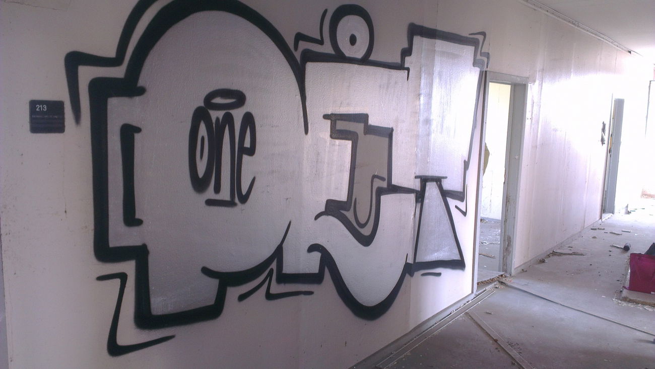 Graffiti Wall - Photo by PETtheTHREAT - petthethreat, lesnerds, silver