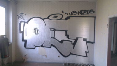 Graffiti Wall - Photo by PETtheTHREAT - petthethreat, lesnerds, silver