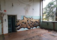 Photo #232461 by G0Tt