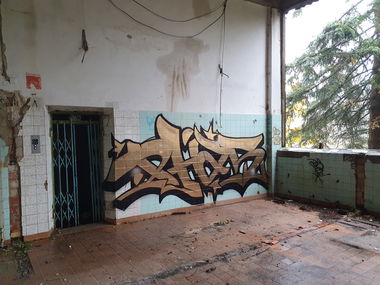 Graffiti Wall - Photo by PHAS196 - Gold, Lostplaces, rainy (2020)