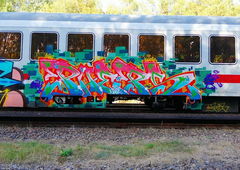 Graffiti Train - Photo by PHEPS - Pheps (2020)