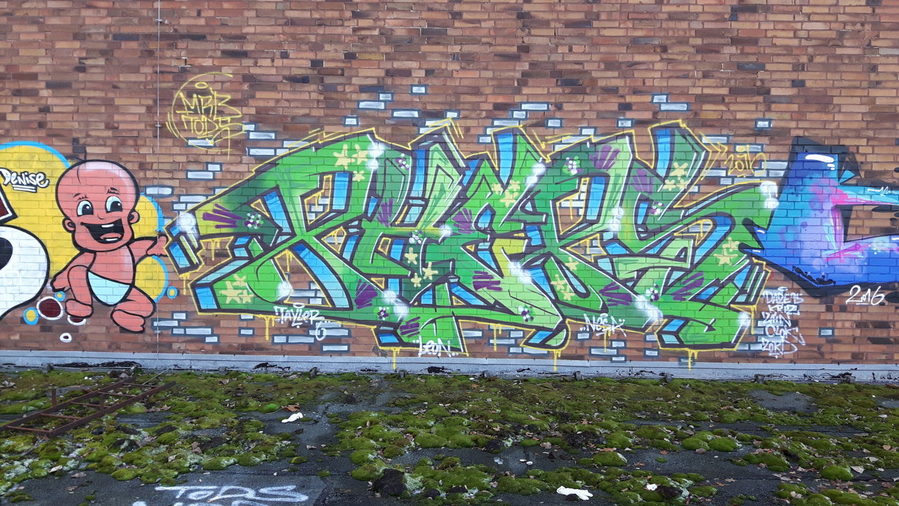 Graffiti Wall - Photo by PHEPS - PHEPS (2016)