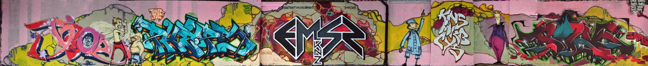 Graffiti Wall - Photo by PHEPS - DIOE, PHEPS, EMSS (2013)