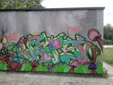 Graffiti Wall - Photo by PHEPS - FEPS (2011)