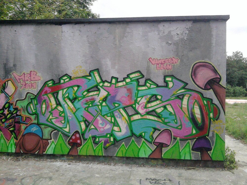 Graffiti Wall - Photo by PHEPS - FEPS (2011)