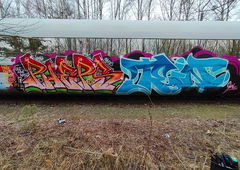 Graffiti Train - Photo by PHEPS - Pheps, Tein, MRB (2022)