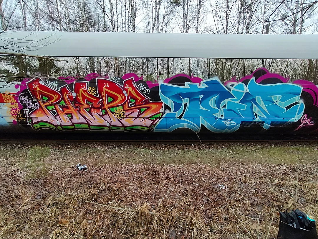 Graffiti Train - Photo by PHEPS - Pheps, Tein, MRB (2022)