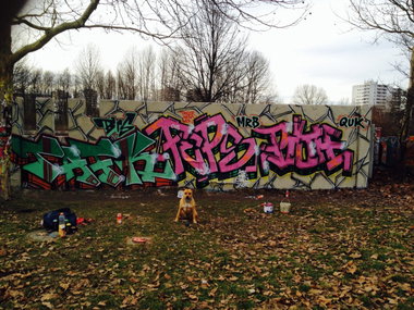 Graffiti Wall - Photo by PHEPS - TAFK, FEPS, PIOH