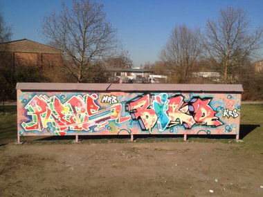 Graffiti Wall - Photo by PHEPS - PHEPS, BIRD (2014)
