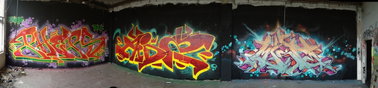Graffiti Photo by PHEPS - PHEPS, AIDZ, MISTE (2016)