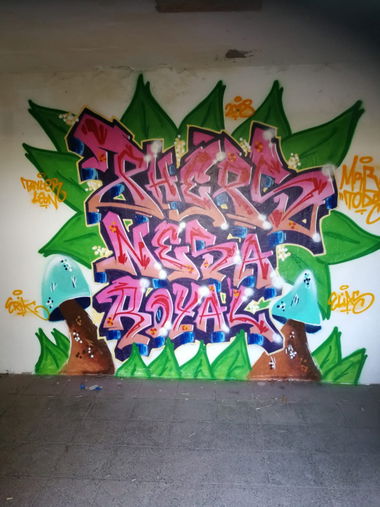 Graffiti Street Art - Photo by PHEPS - PHEPS, NESA, ROYAL (2018)