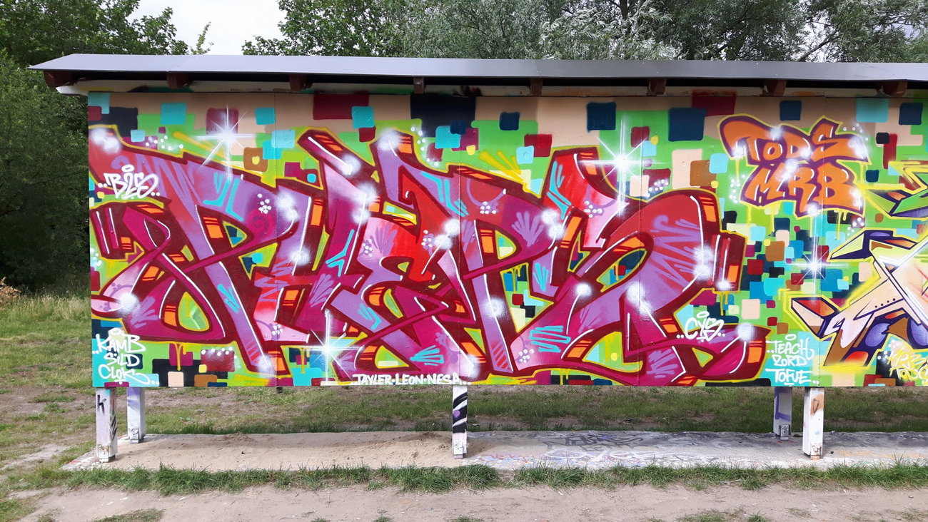 Graffiti Wall - Photo by PHEPS - PHEPS (2016)