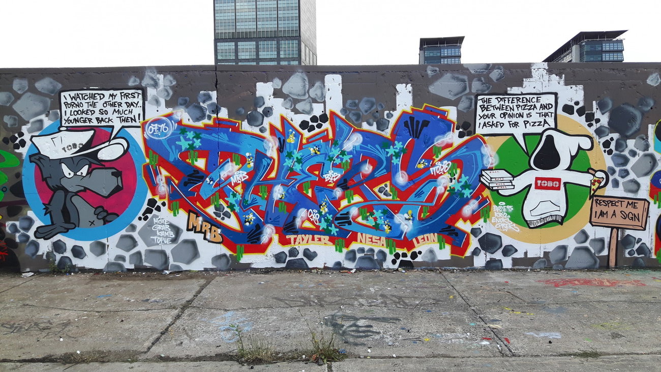 Graffiti Wall - Photo by PHEPS - PHEPS, TOBO (2016)