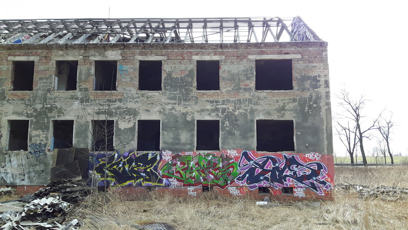 Graffiti Wall - Photo by PHEPS - KTES, PHEPS, SILD (2017)