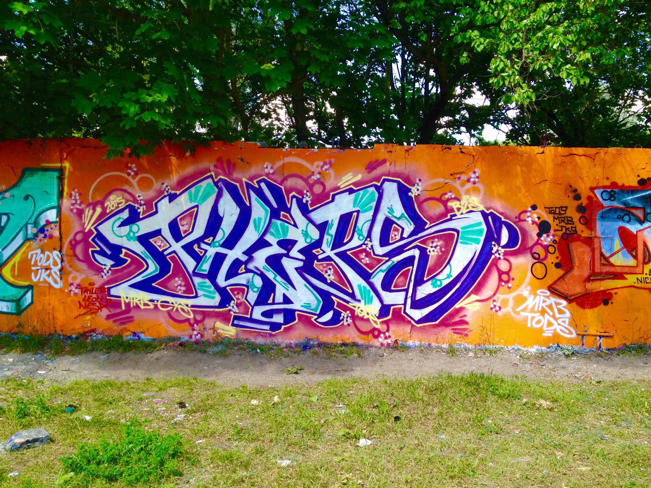 Graffiti Wall - Photo by PHEPS - PHEPS (2015)
