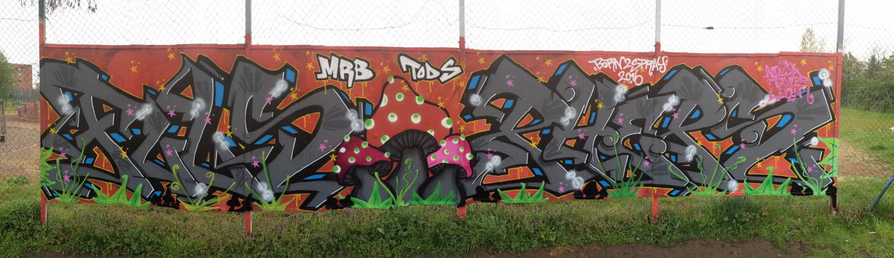 Graffiti Wall - Photo by PHEPS - FULS, PHEPS (2016)