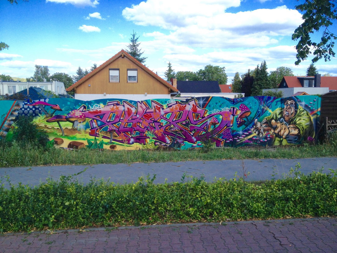 Graffiti Street Art - Photo by PHEPS - PHEPS, MISTY (2015)