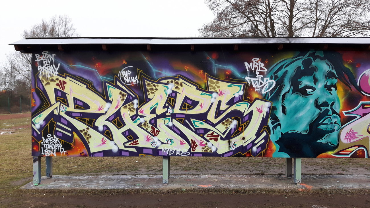 Graffiti Wall - Photo by PHEPS - PHEPS (2017)